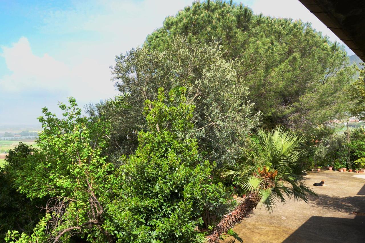 A Casa Di Carla Apartment Terracina Exterior photo